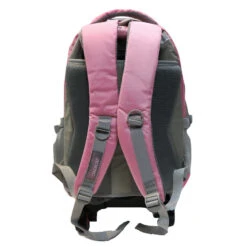 Aoking GVL 4091 Backpack W/Wheels 18"-Pink -Best Bags Store 7cc935 1b58ec2d9c5b4f5fb047c551b5780952mv2